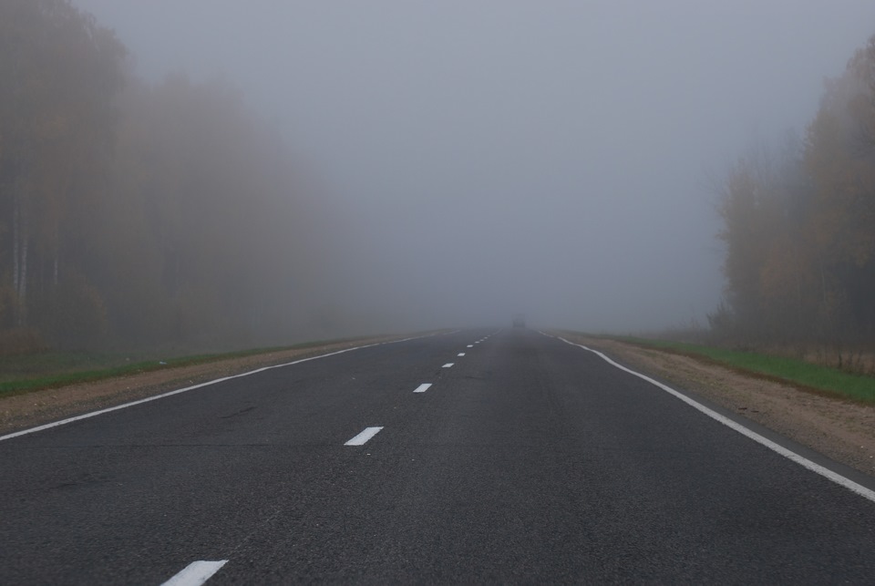Пара свіжих фоток 5