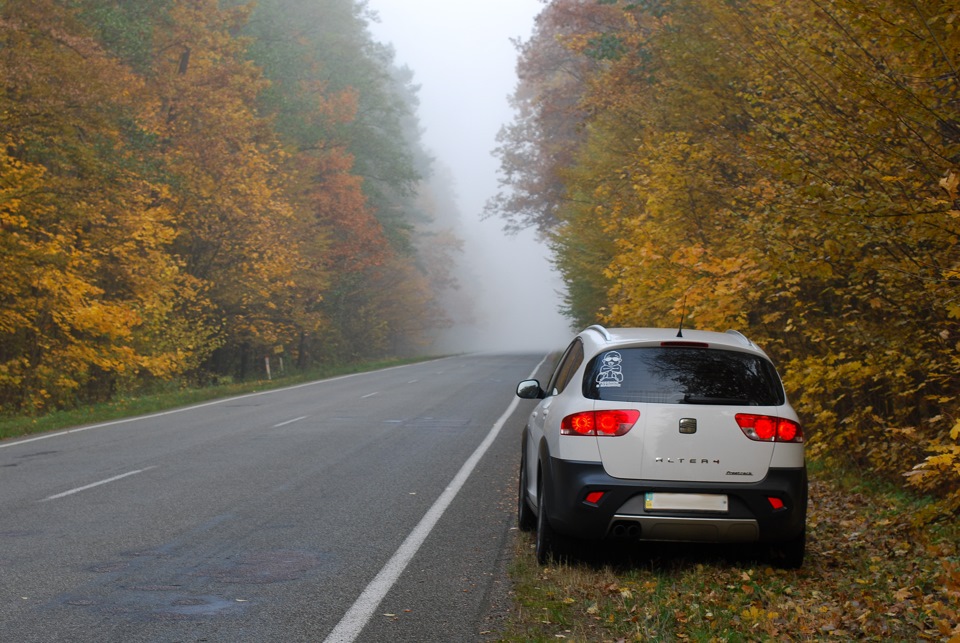 Пара свіжих фоток 4