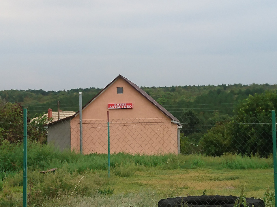 Алтестово 1