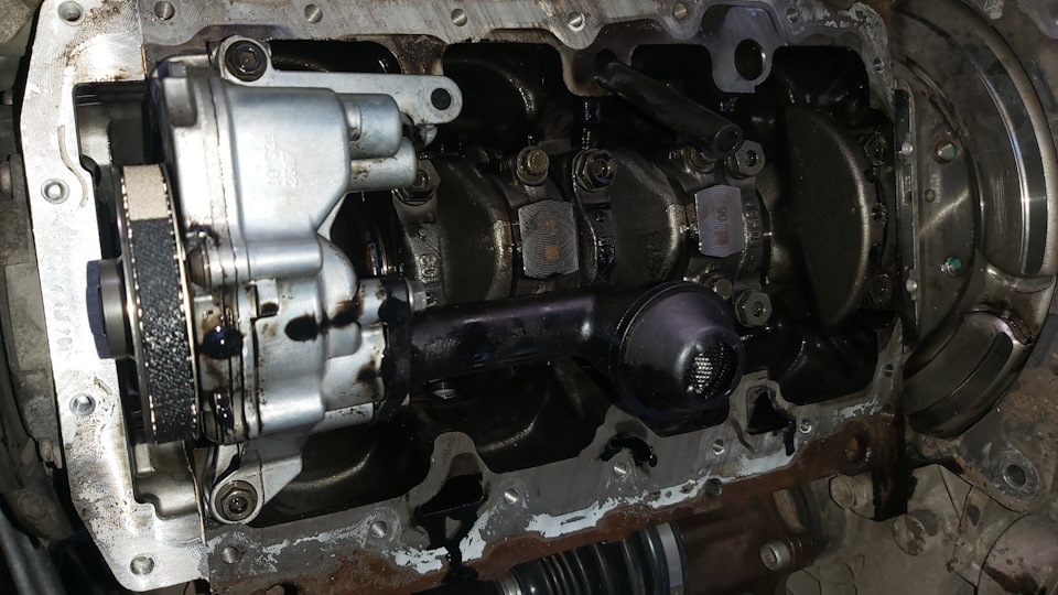 Незрозумілий стукіт на холодну TDI 3