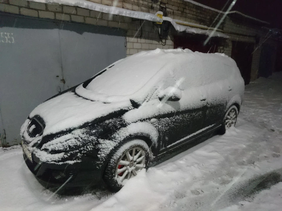 Seat любить сніг