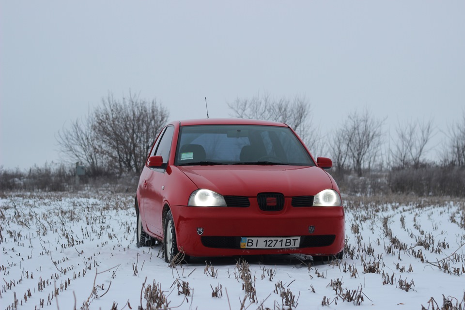 Зимовий фотосет 3