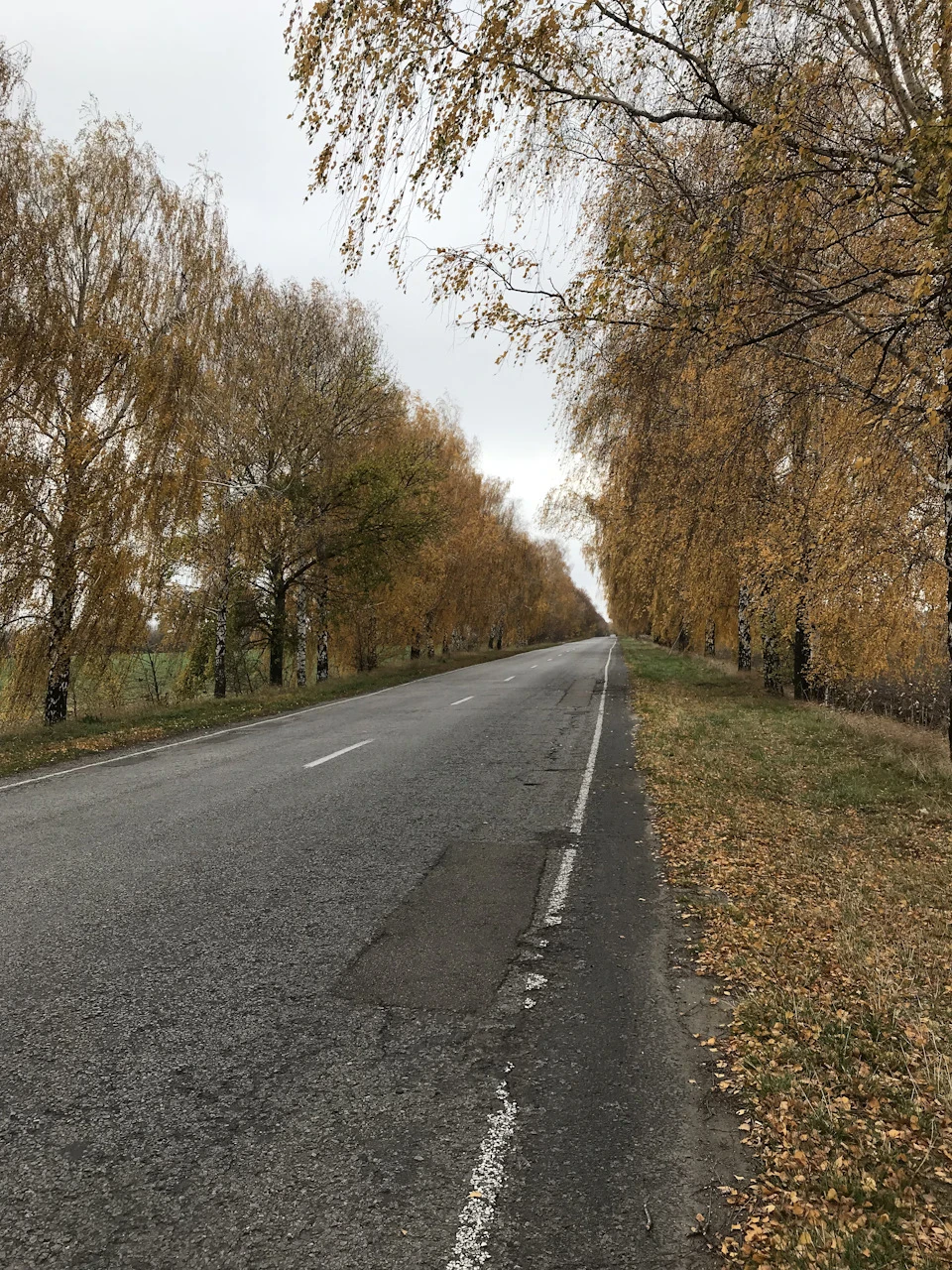Чергові спроби офроаду)