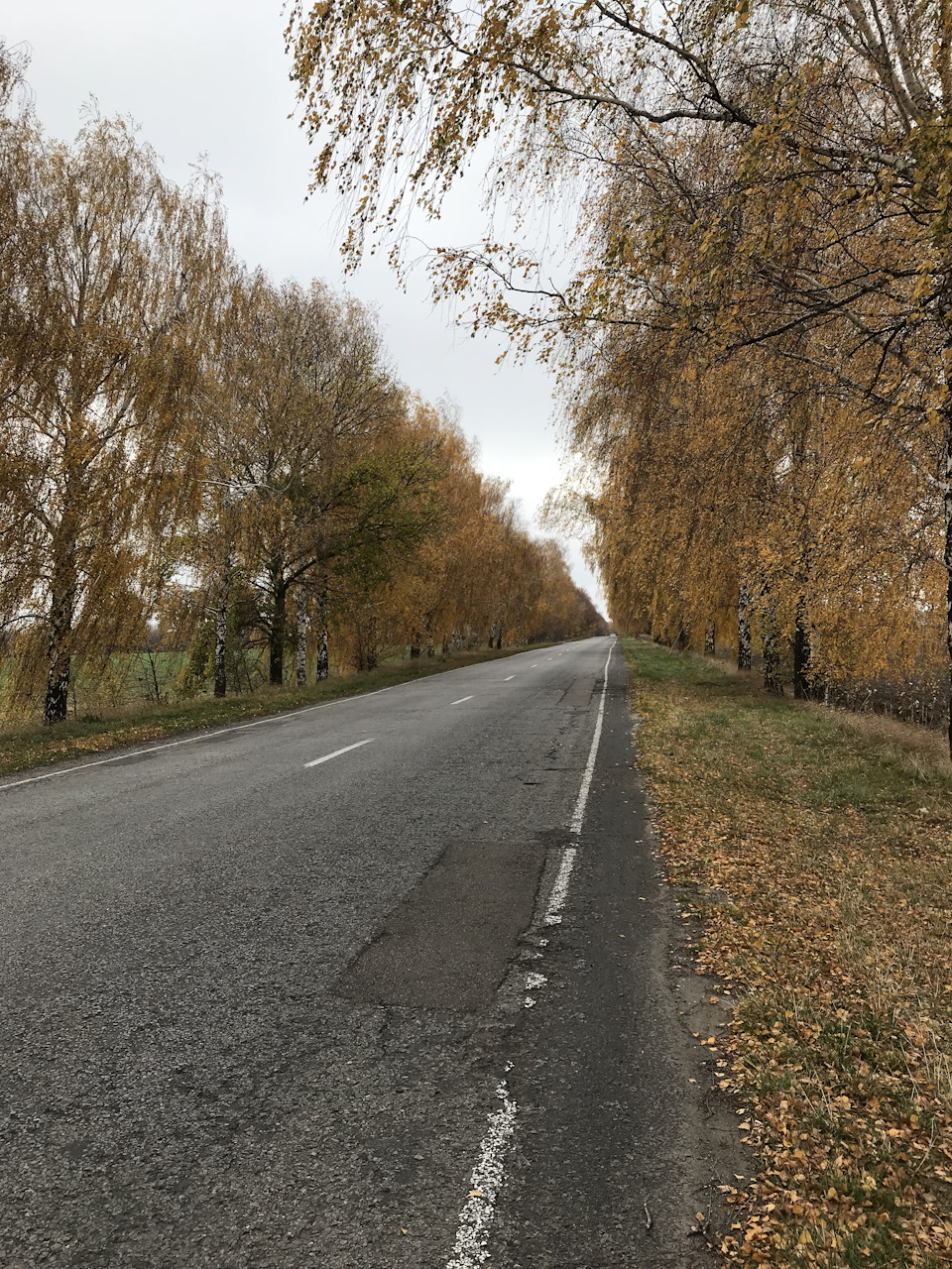 Чергові спроби офроаду) 1