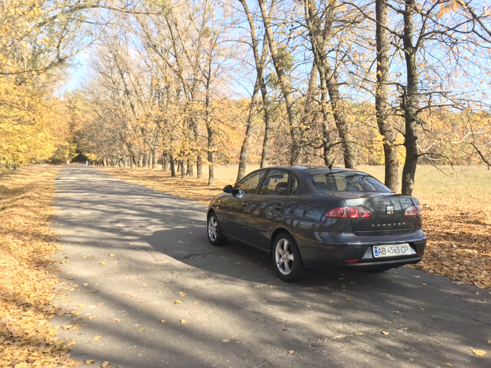 Осінній фотосет 3
