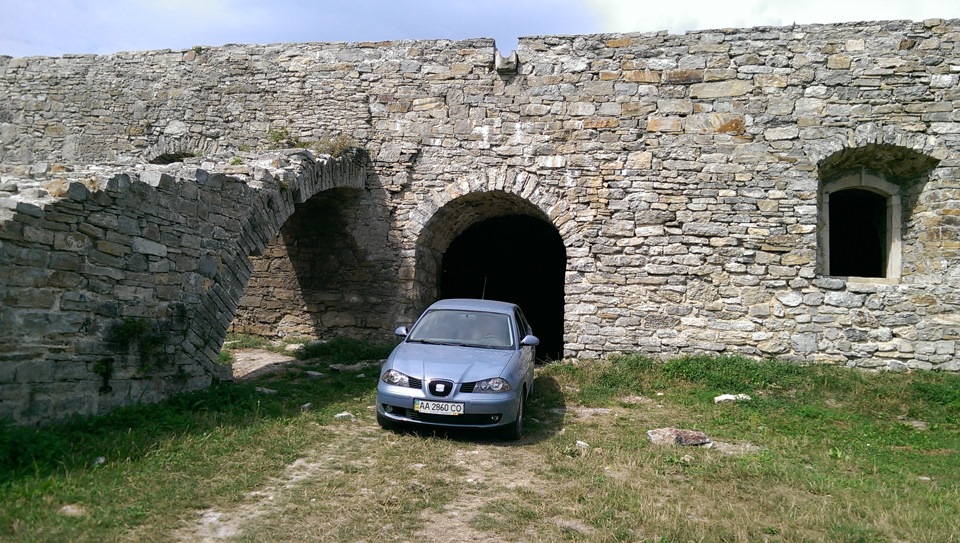 Покотушки! 1