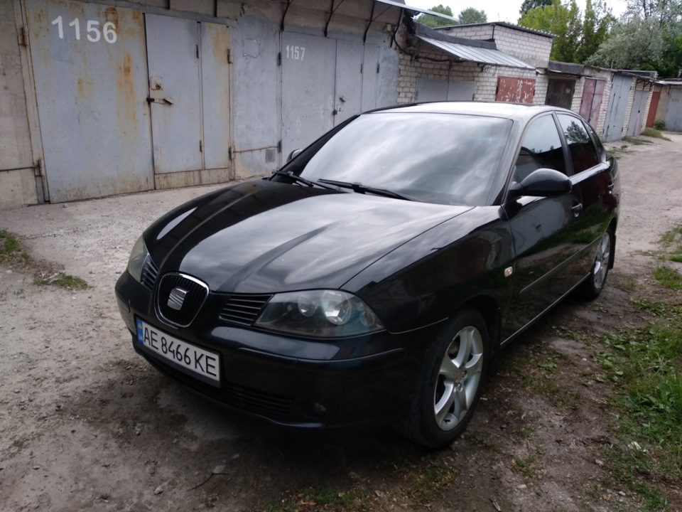 Минув рік... 3