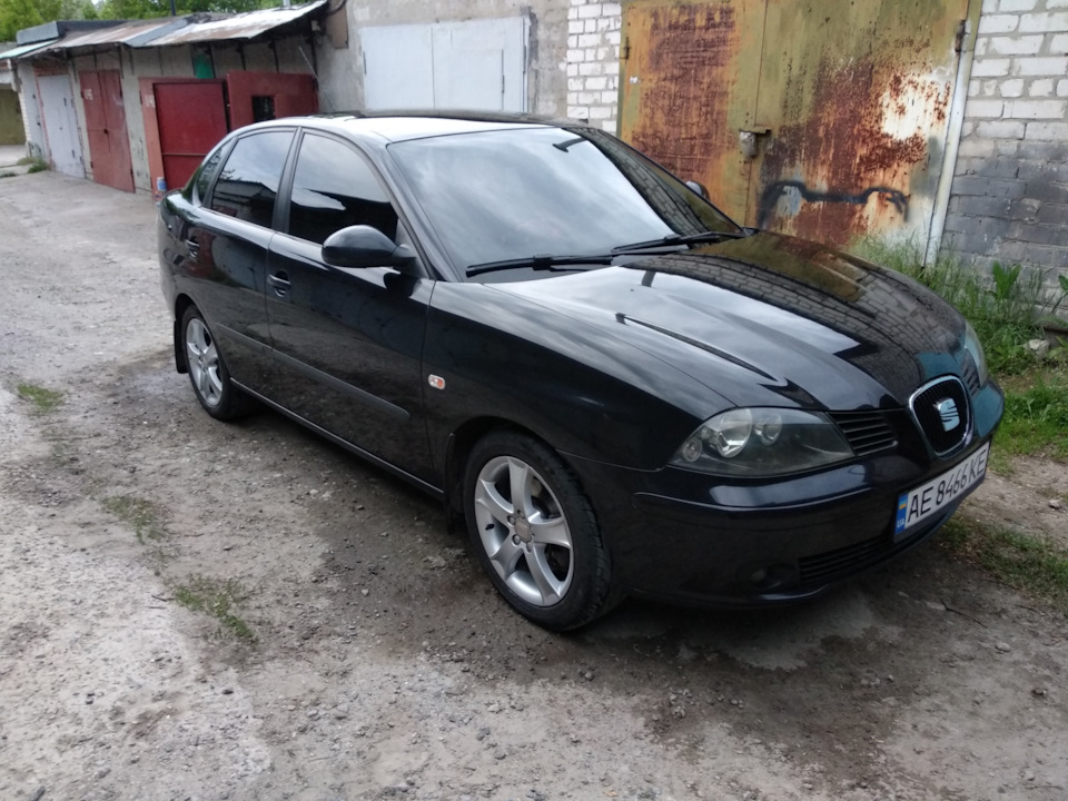 Минув рік... 4