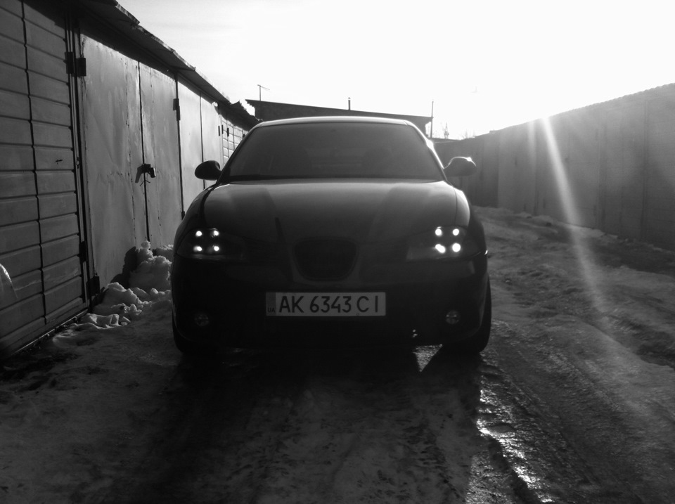 Гравітекс 1