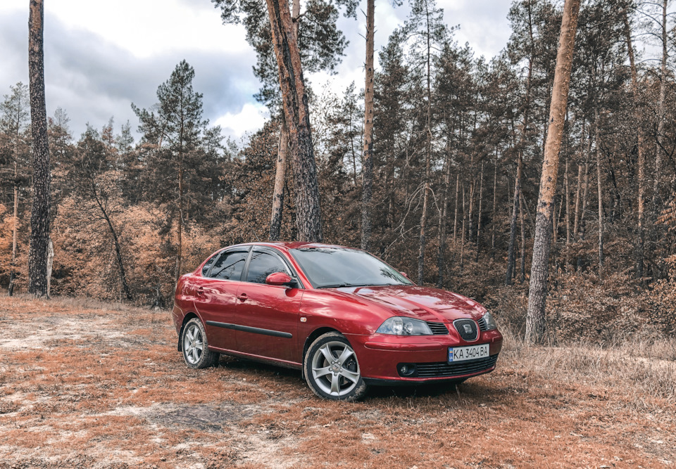 Вигуляв двох котів на природі). Seat VAG 3