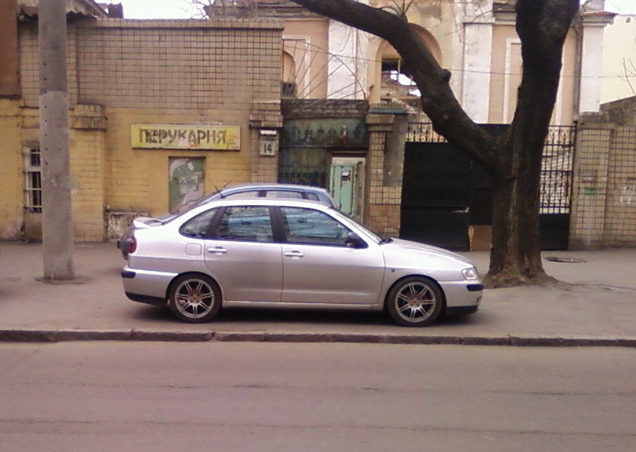 Коні, мої коні 5