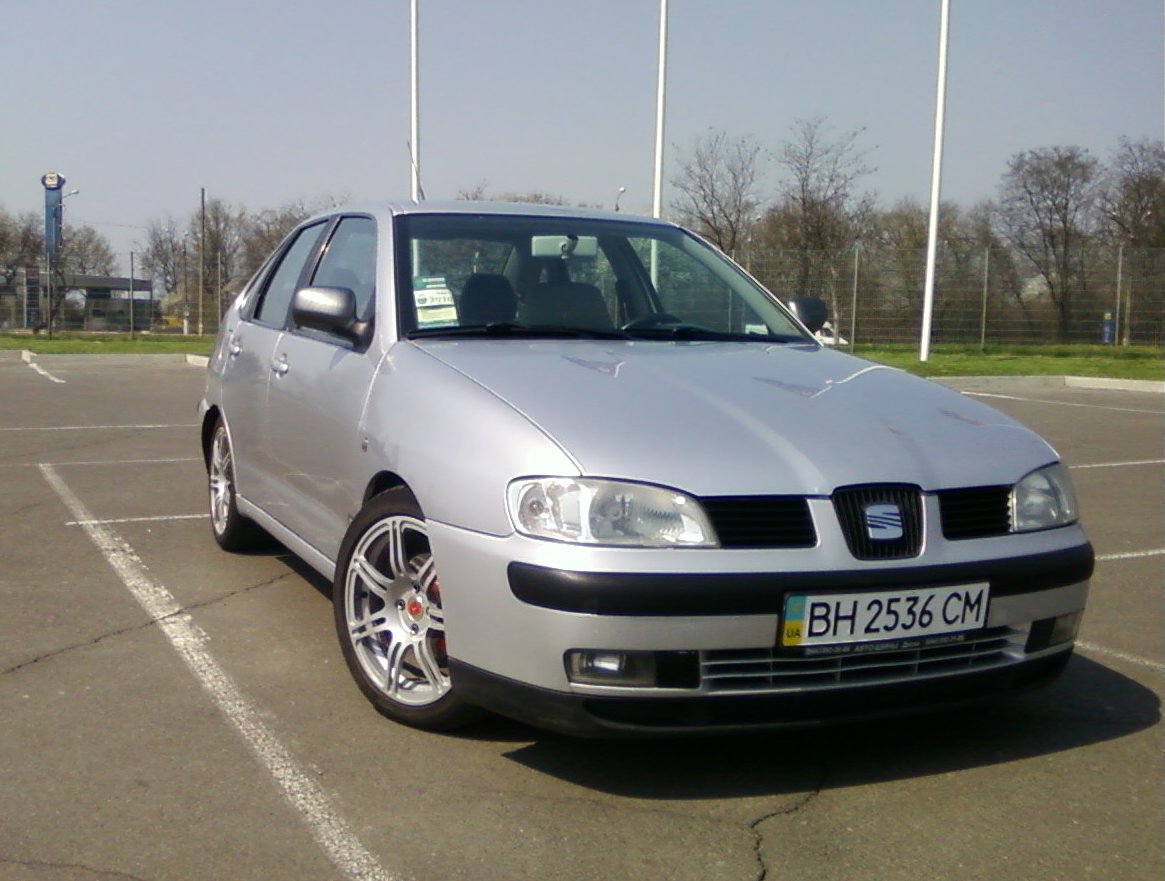 Коні, мої коні 3