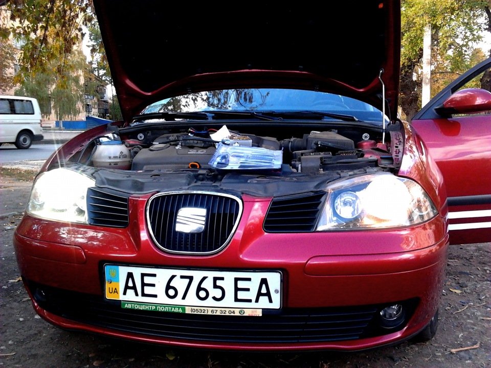 Встановлено XENON 6000K 1