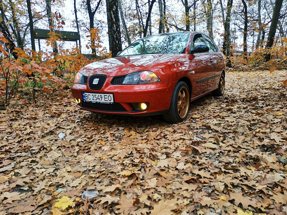 Осінь - осінь, подаруй мені ... 4