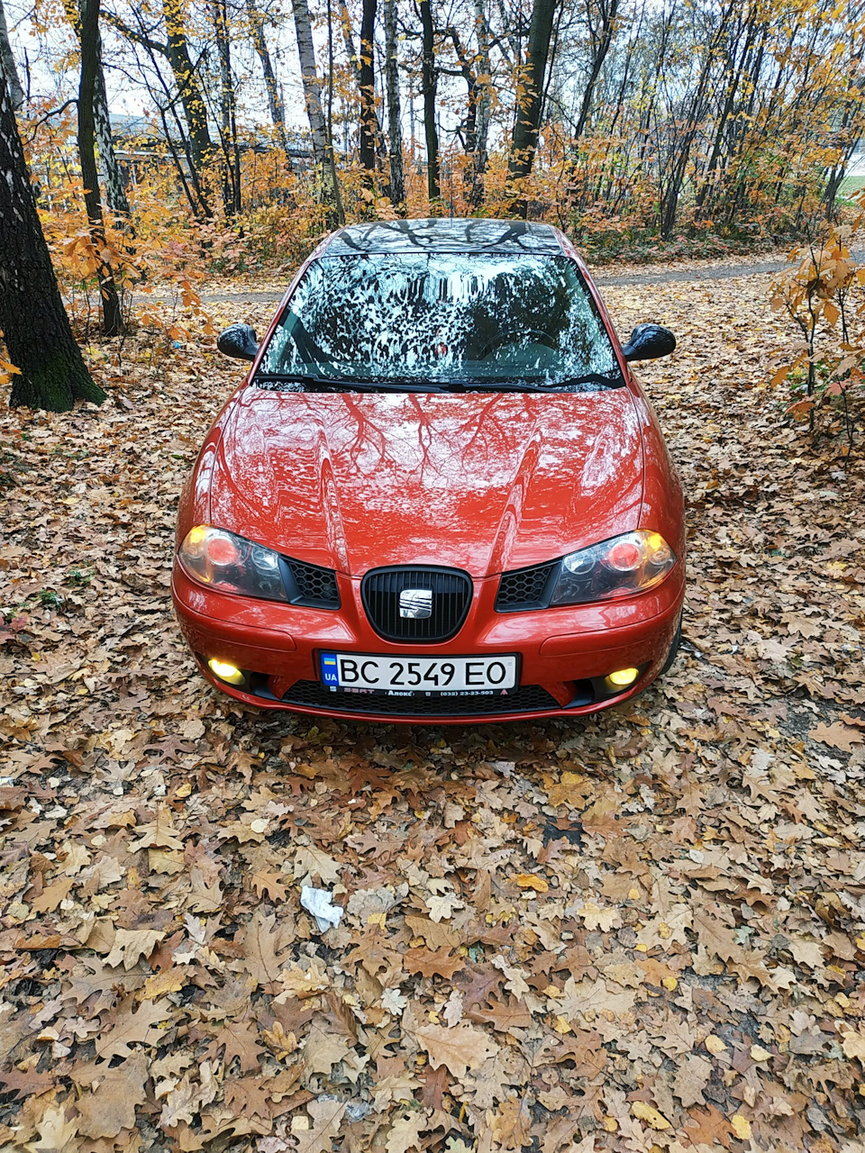 Осінь - осінь, подаруй мені ... 1