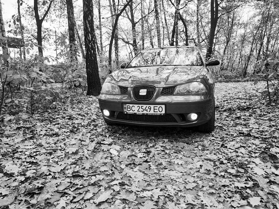 Осінь - осінь, подаруй мені ... 3