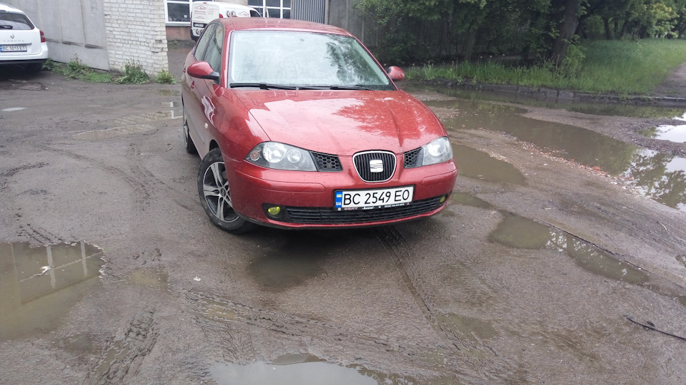 Затягнув птф в жовтий 3