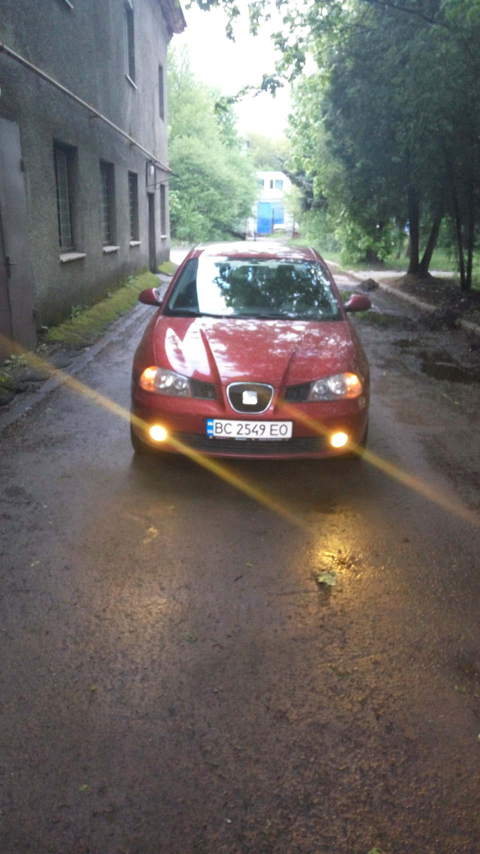 Затягнув птф в жовтий 1