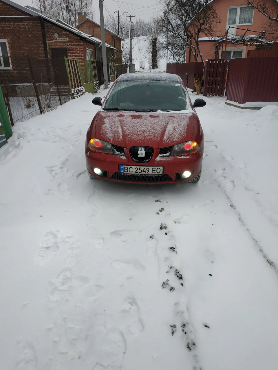 Зима поки що...