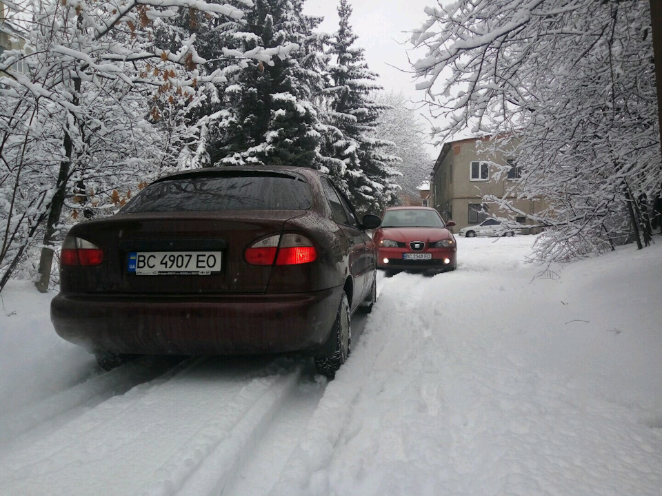 Зимові фото. Зима 2017 4