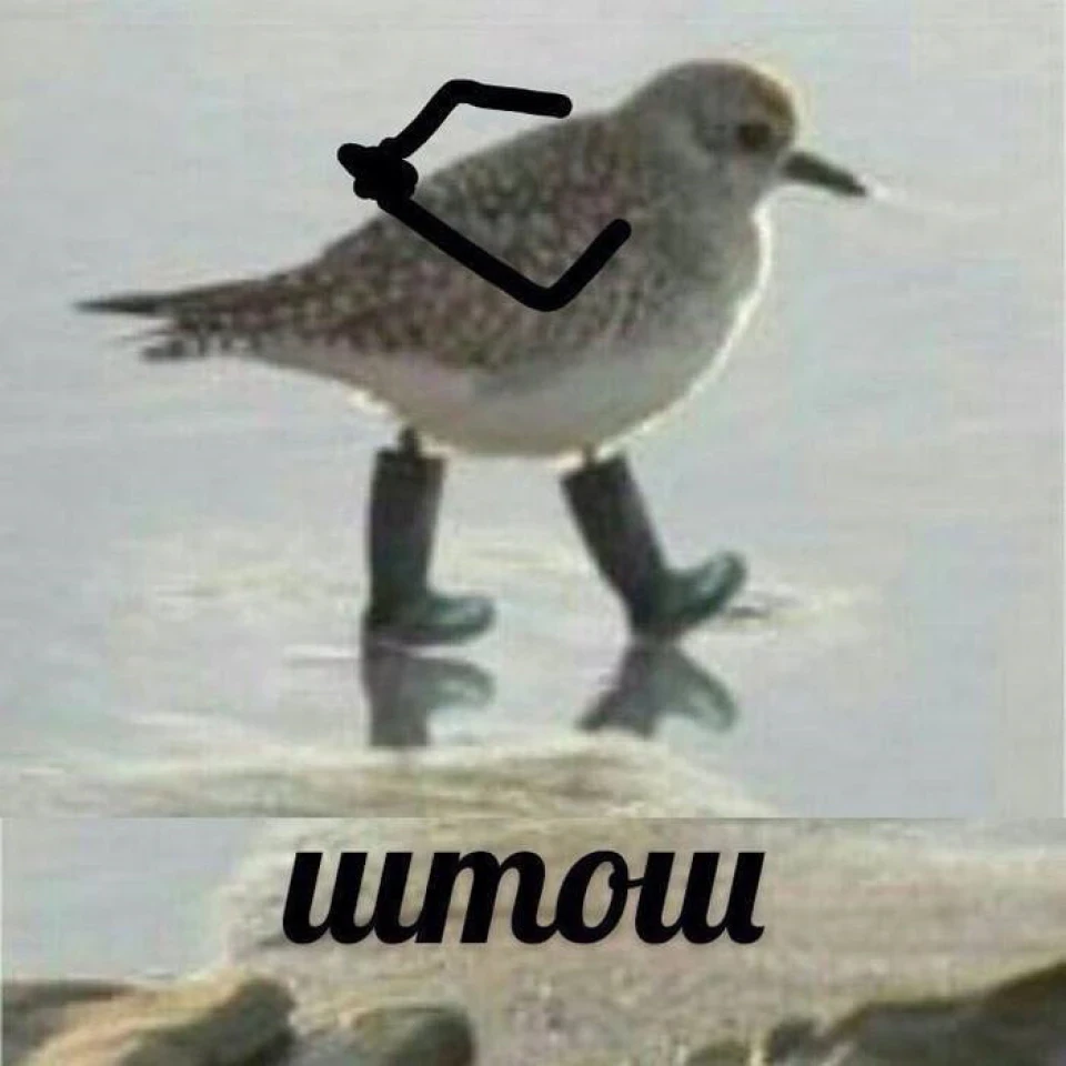 Познайомимося