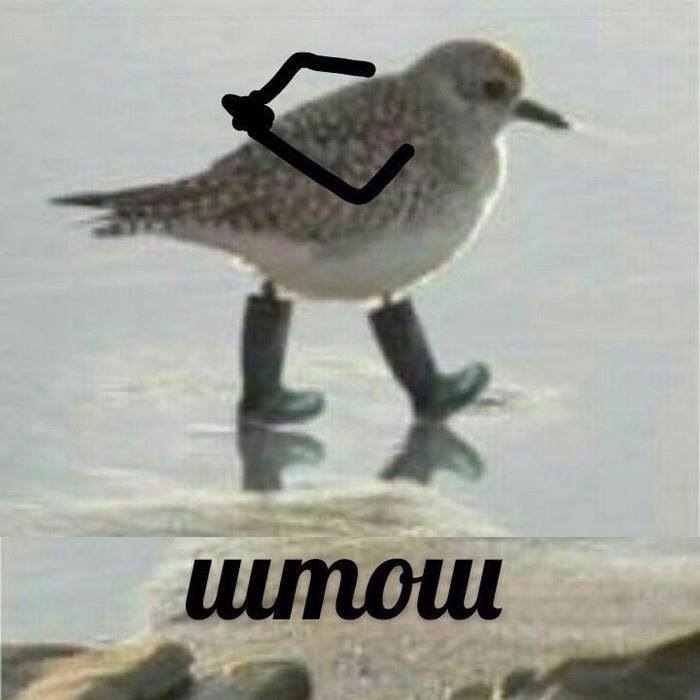 Познайомимося 1