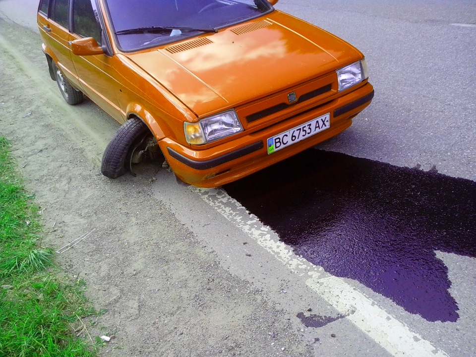 Поїздка в карпаті Славськ 4