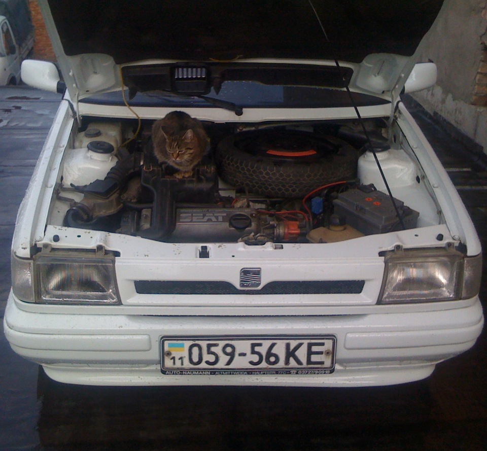 Проставки 4
