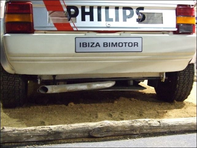 спортивна IBIZA 4