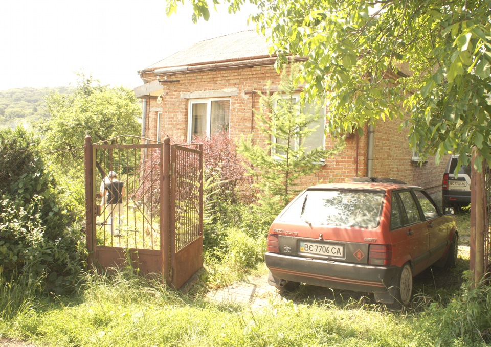 Надійний кінь 3