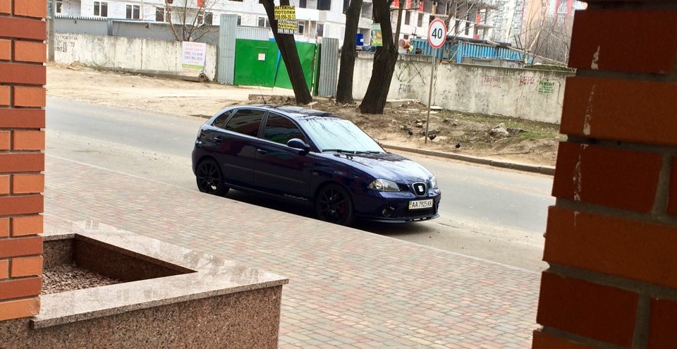 Помил після зими 4