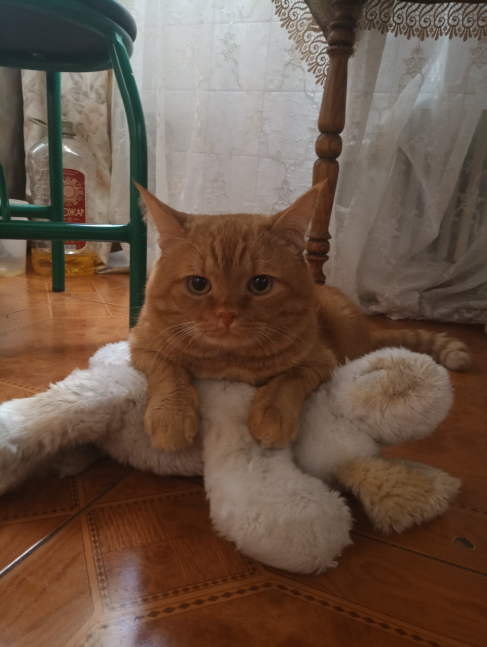Чому? 1
