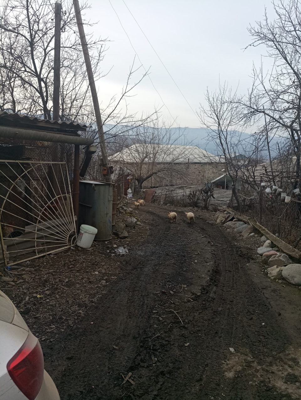 Поїздка до Вірменії 3