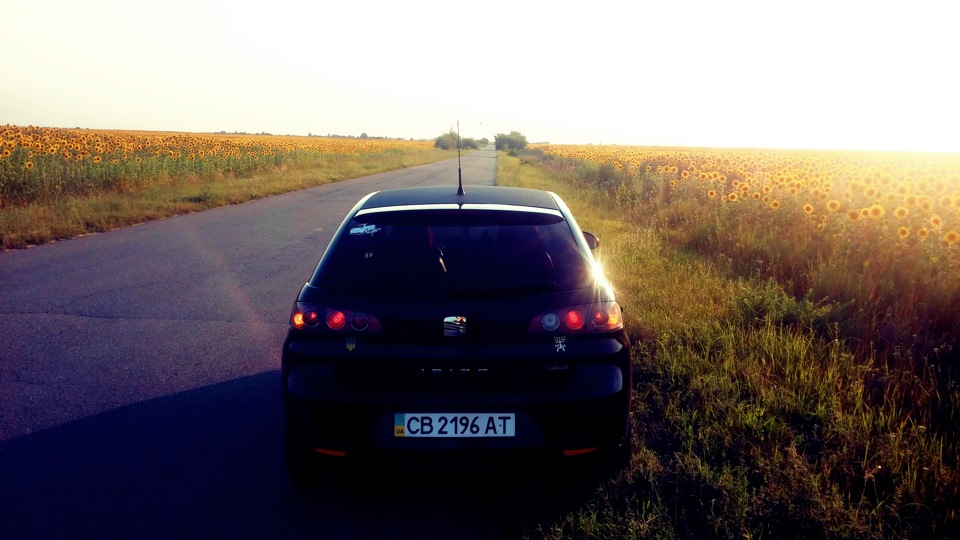 Фото в дорозі 3