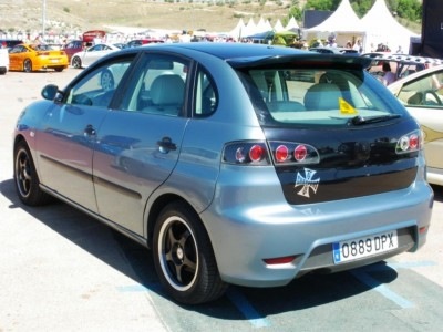 Кольорові варіанти сталінгу авто 5