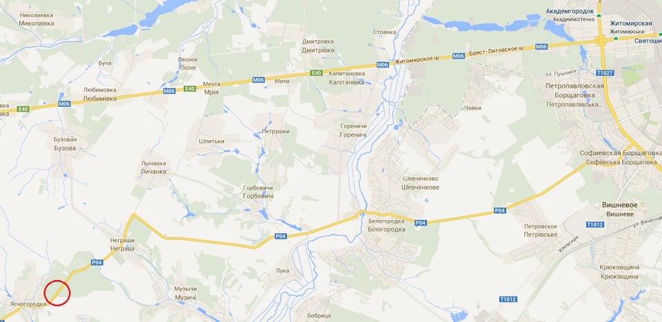 Нові картки в лісі 1