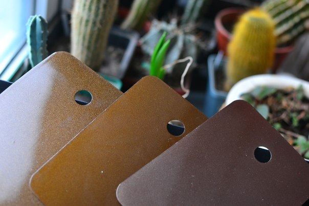 Paint House Customs 3