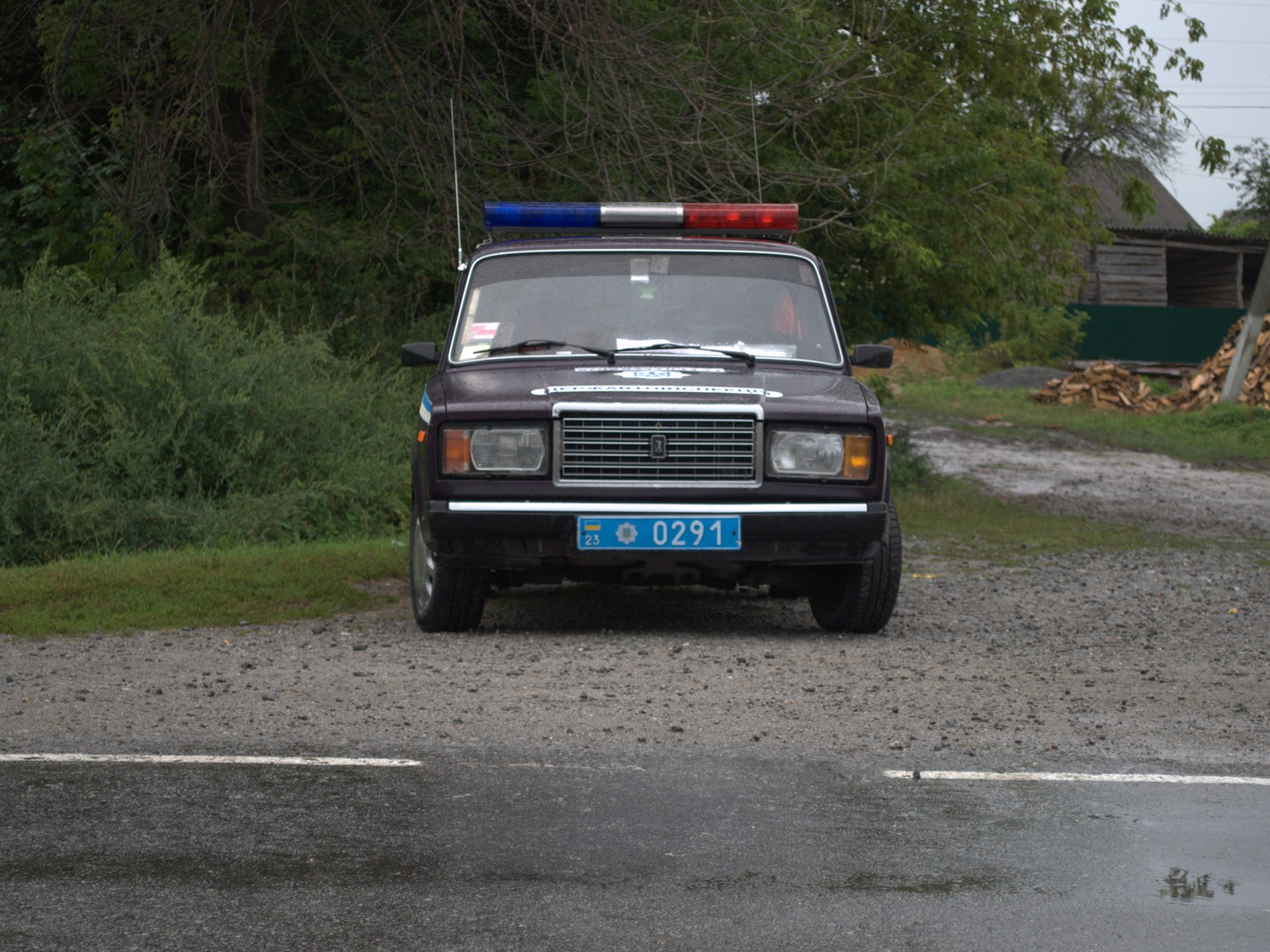 ГАЙЦІ отетеріли 1