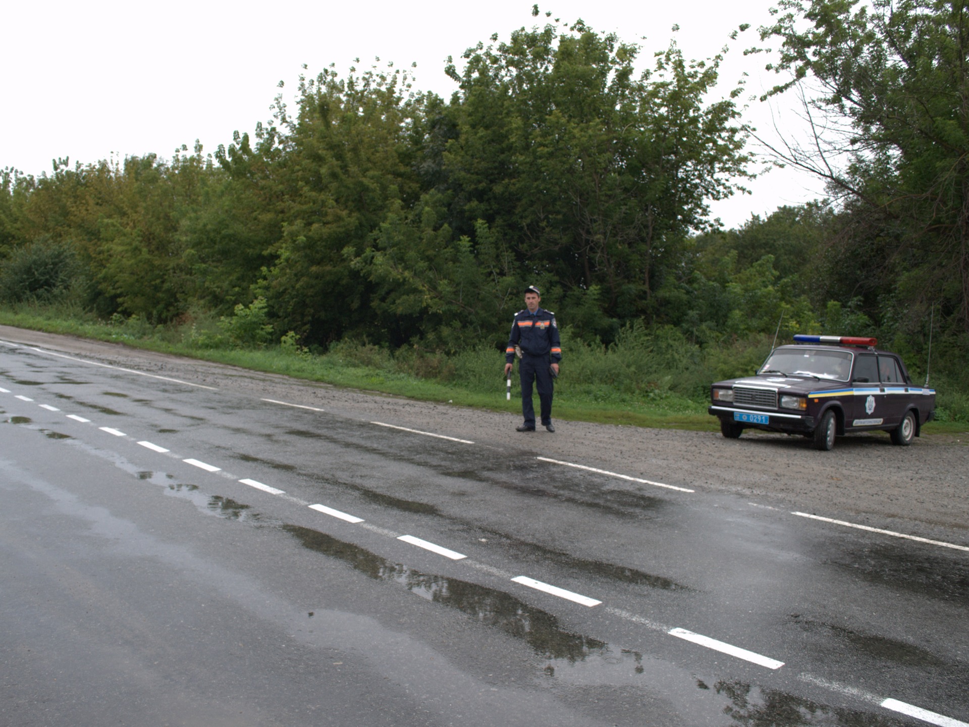 ГАЙЦІ отетеріли 3