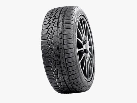 Nokian WR G2 1