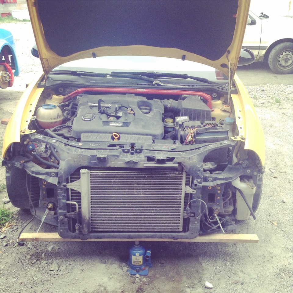 Мій 4-й VW Fest 1
