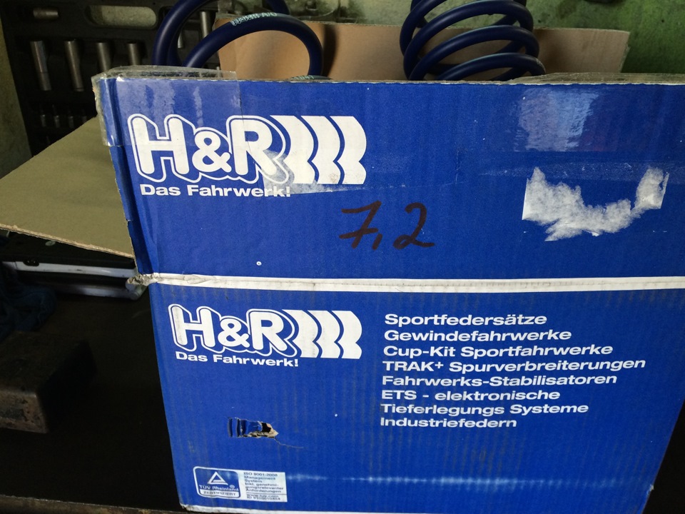 Ось і починають сходитися ніштяки! 4