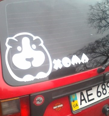 Тавро на машинку;) 4