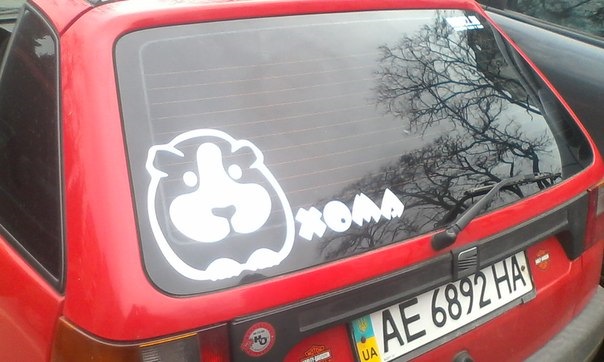 Тавро на машинку;) 5