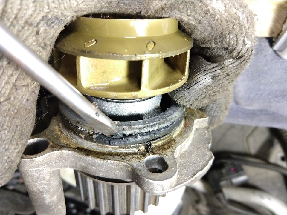 Заміна помпи на SEAT Leon 1m1 - 1.8T (AUQ) 4