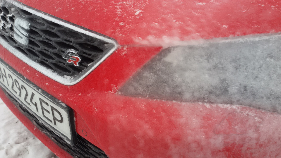 Seat сніжний грибок та покриття скло:) 4