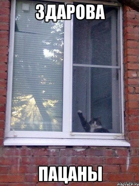 Помпа залишила чат 2