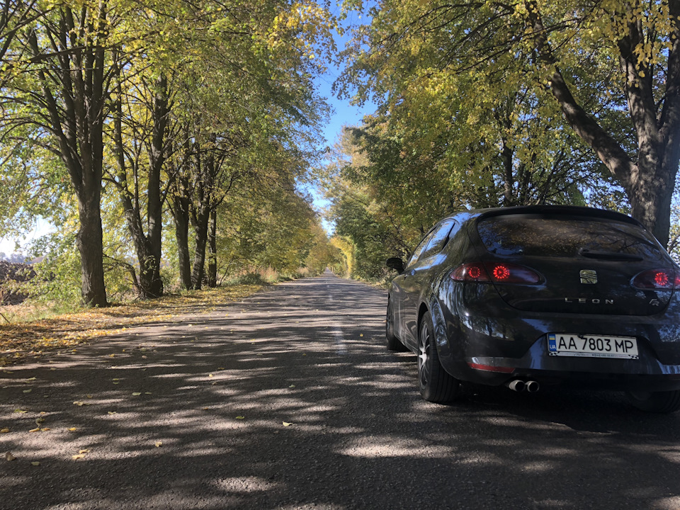Останній запис по Леону 3