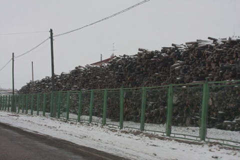 Дорога додому. Івано-Франківськ-Стрий-Київ 2