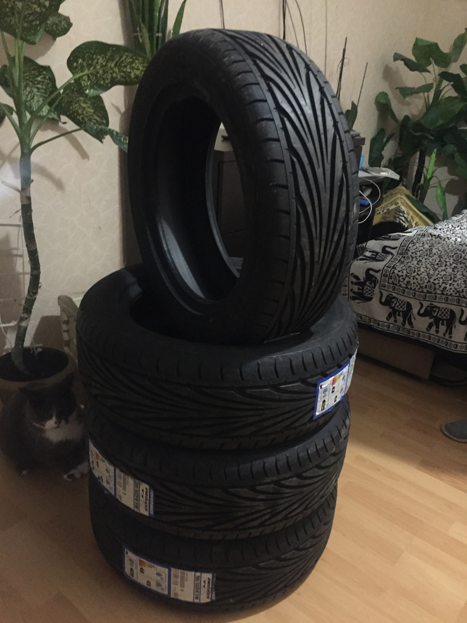 Toyo Proxes T1R. Готуємо кеди восени. 1